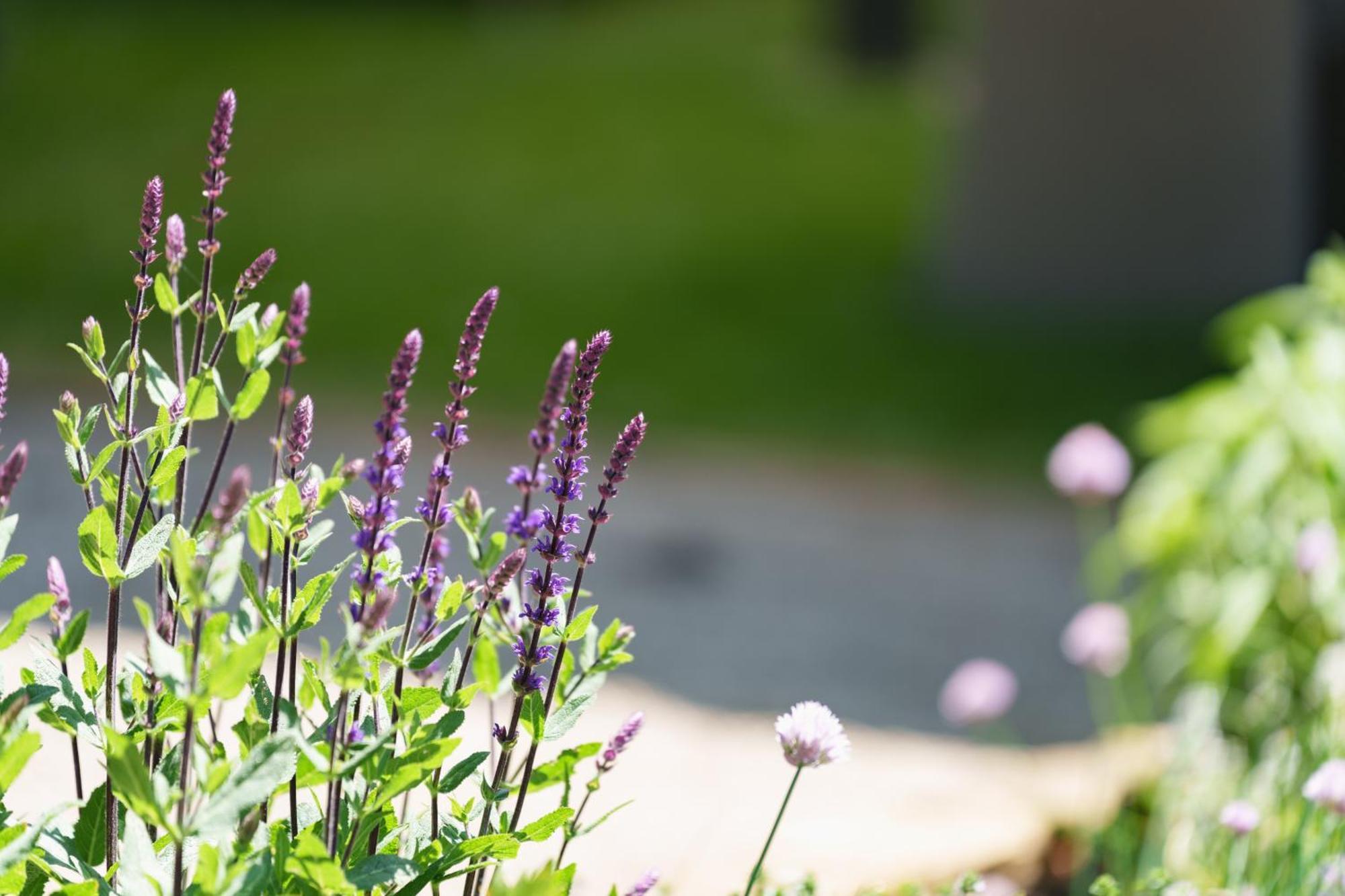 Les Jardins D'Anais Hotel Luxemburg Kültér fotó